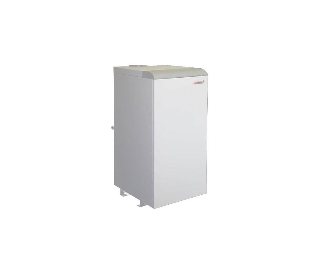 Купить Газовый Котел Protherm Медведь